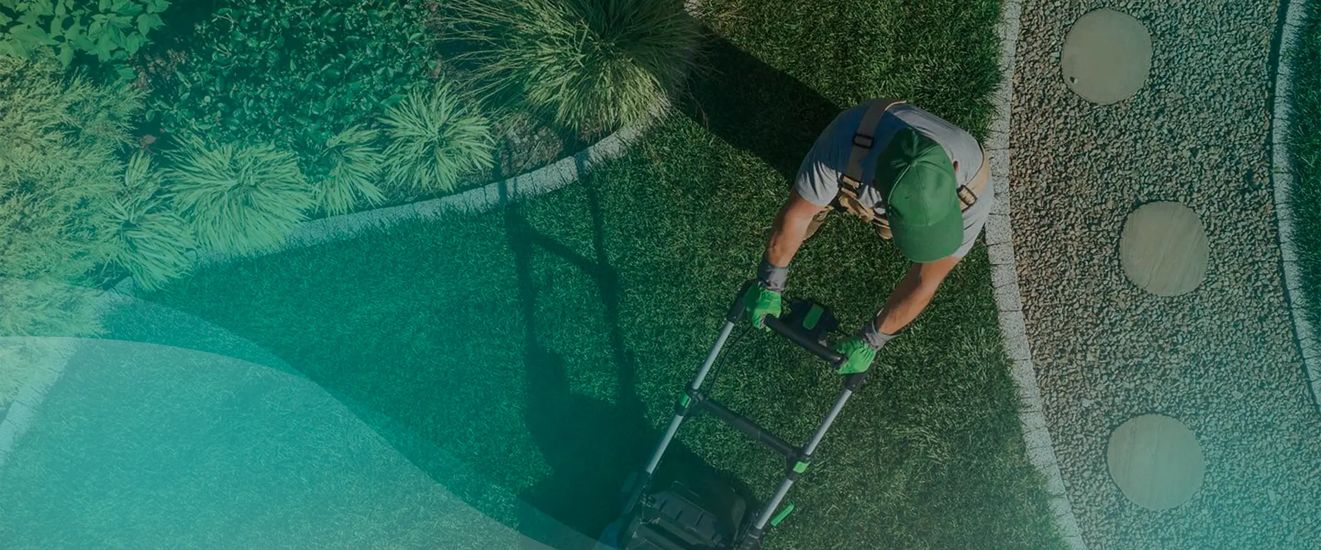 Professional lawn care service